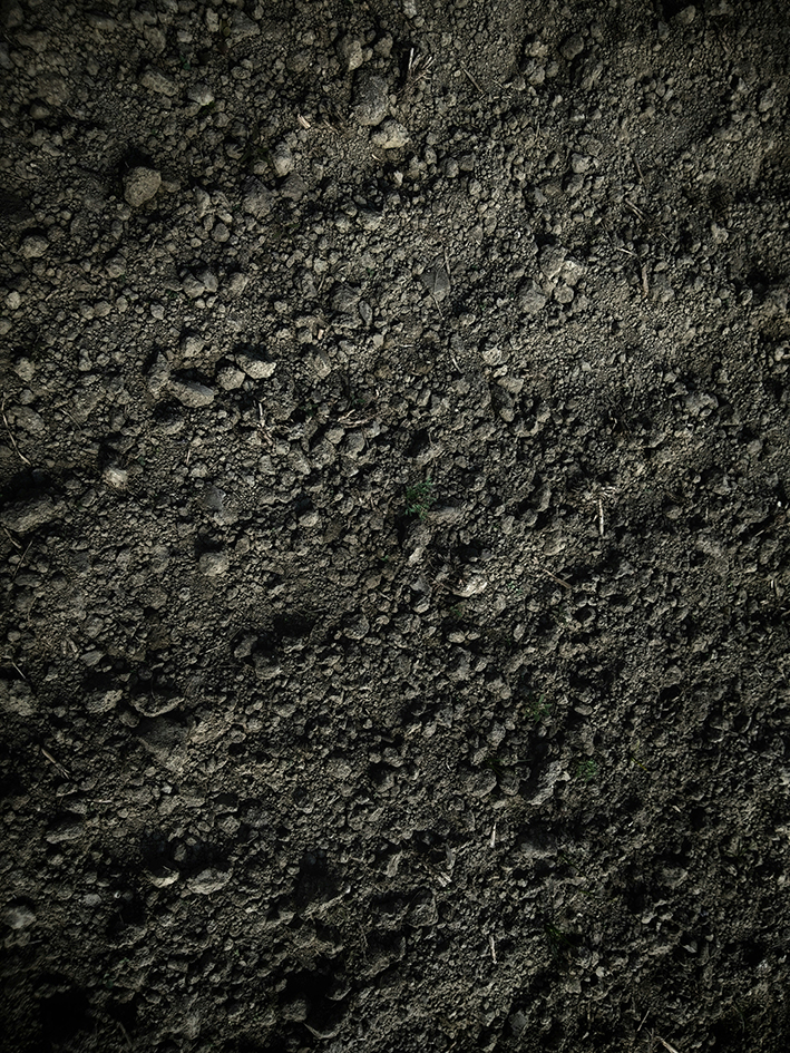 Dark soil texture