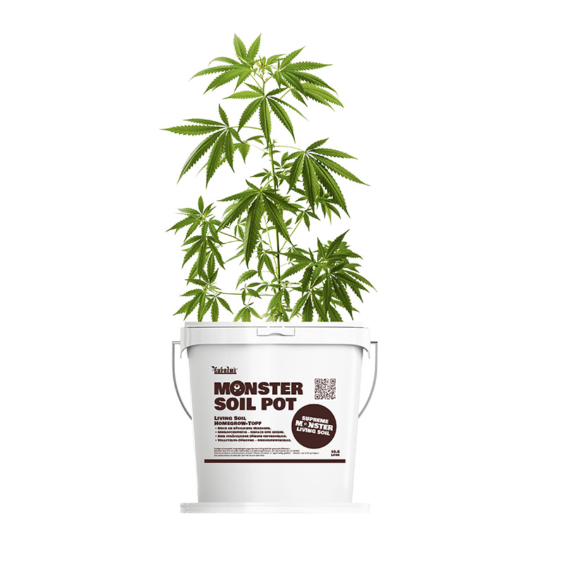 Monster Living soil Homegrow Pot - Image 2